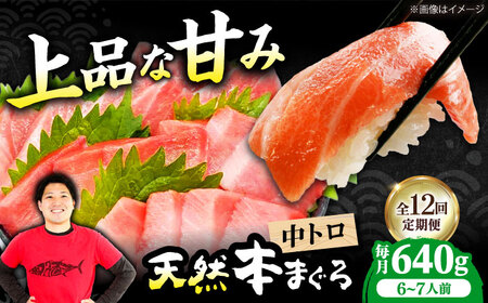 【全12回定期便】たね熟天然本まぐろ中トロ(640g)[AOCE036]マグロ