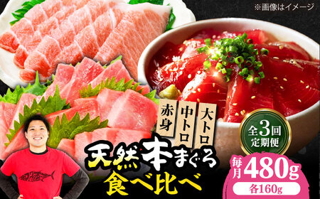 【全3回定期便】たね熟天然本まぐろ赤身＆中トロ＆大トロセット(各160g 計480g)[AOCE043]マグロ