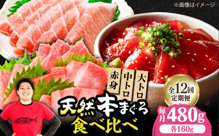 【全12回定期便】たね熟天然本まぐろ赤身＆中トロ＆大トロセット(各160g 計480g)[AOCE045]マグロ