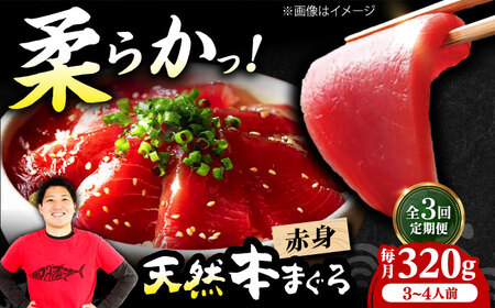 【全3回定期便】たね熟天然本まぐろ赤身(320g) [AOCE013] まぐろ