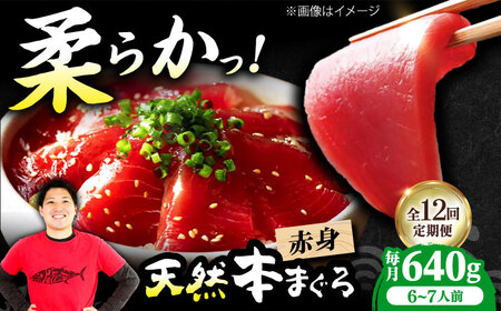 【全12回定期便】たね熟天然本まぐろ赤身(640g) [AOCE018] まぐろ