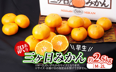 訳あり 三ヶ日みかん 早生 2.5kg 蜜柑 ミカン 果物 くだもの フルーツ 浜松