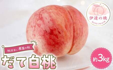 【2026年出荷分先行予約】福島県産 だて白桃 約3kg (8～10玉) 桃井あい農園 伊達の桃 桃 フルーツ 果物 もも モモ momo F21C-212