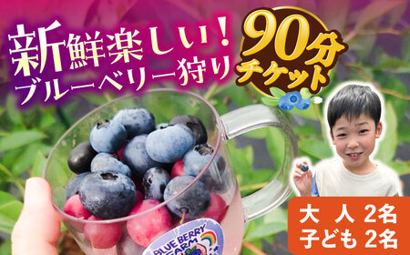 ブルーベリーファーム瑞浪 ブルーベリー狩り 90分 大人(中学生以上)2名様 ・ 子ども(小学生)2名様 チケット[AZCX003]