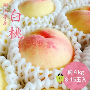 土-17　白桃 岡山 秀品 大玉 約4kg 8-15玉 岡山県産 桃 もも  御中元 ギフト 御礼 プレゼント 御礼 御祝 御供 果物 くだもの フルーツ