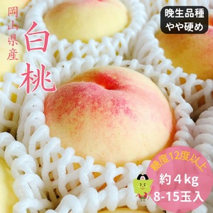 土-19　白桃 特秀 ロイヤル 大玉 晩生品種 4kg 岡山県産 桃 もも  御中元 ギフト 御礼 プレゼント 御礼 御祝 御供 果物 くだもの フルーツ