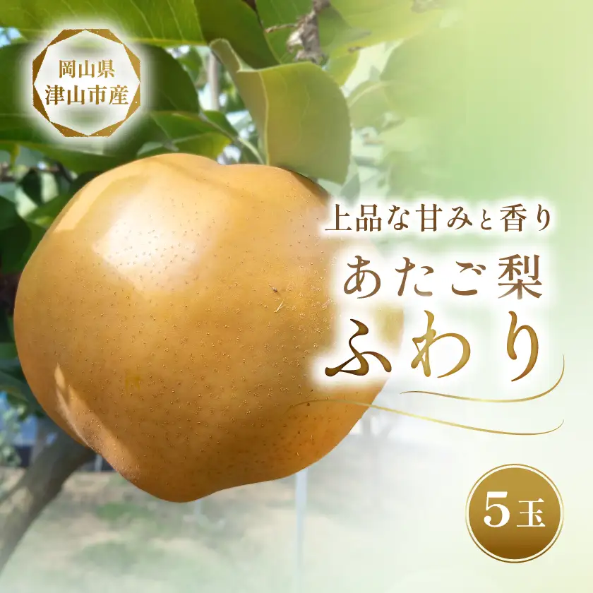 2026年11月下旬より順次発送予定　あたご梨 ふわり(5玉入り)【1626522】