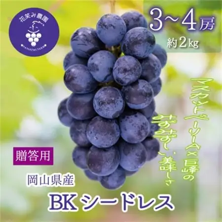 【2026年先行受付】岡山　花笑み農園の『BKシードレス』贈答用　約2kg(3～4房)　B-2上【配送不可地域：離島・北海道・沖縄県】【1627357】