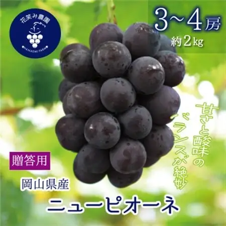 岡山　花笑み農園の『ニューピオーネ』贈答用　約2kg(3～4房)　P-2上【配送不可地域：離島・北海道・沖縄県】【1627358】