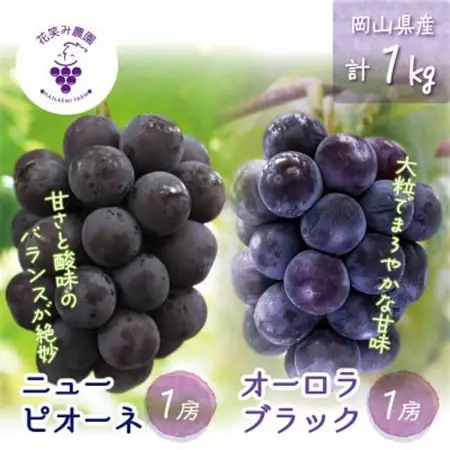 岡山　花笑み農園の『ニューピオーネ＆オーロラブラック』1kg(2房)　PA-1【配送不可地域：離島・北海道・沖縄県】【1627767】