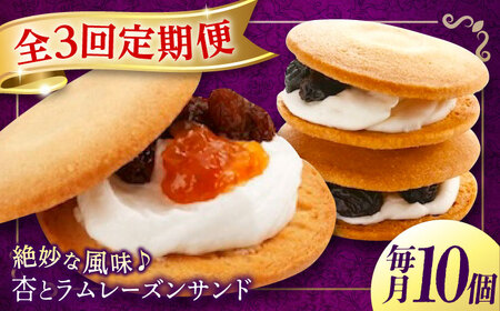 【全3回定期便】 お菓子 杏とラムレーズンサンド 10個入り[BAFL015]お菓子
