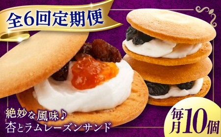 【全6回定期便】 お菓子 杏とラムレーズンサンド 10個入り[BAFL016]お菓子