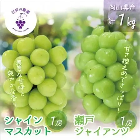 岡山　花笑み農園の『シャインマスカット＆瀬戸ジャイアンツ』1kg(2房)GS【配送不可地域：離島・北海道・沖縄県】【1627775】