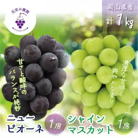 岡山　花笑み農園の『ニューピオーネ＆シャインマスカット』1kg(2房)PS-1【配送不可地域：離島・北海道・沖縄県】【1627783】