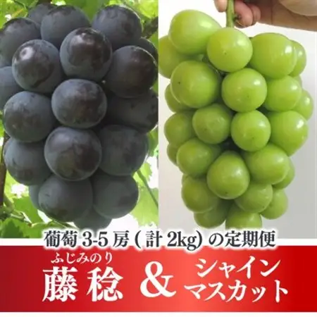 【発送月固定定期便】藤稔とシャインマスカットの人気セット! 各2.0kgの満足便!(岡山県産)全2回【配送不可地域：離島】【4068046】