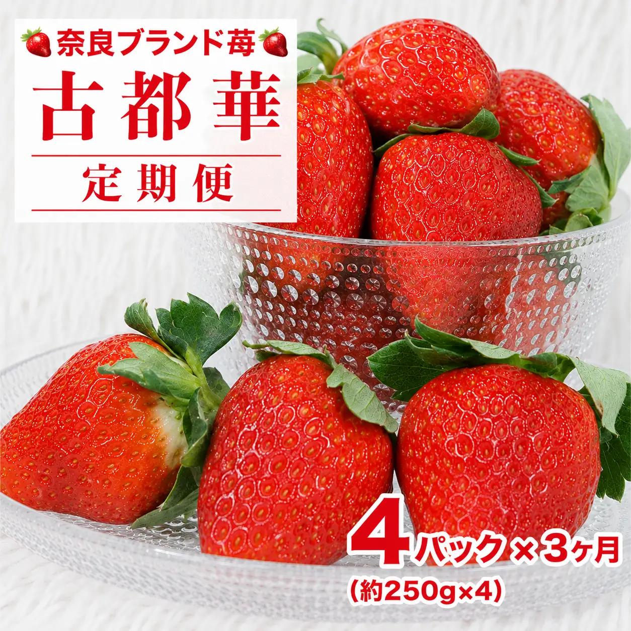 【先行予約】【定期便 3回】 いちご 古都華 250g×4パック ことか 定期 人気 奈良
