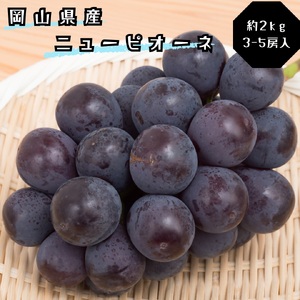 土-31　ぶどう ニューピオーネ 秀品 約2kg 3-5房 岡山県産 ぶどうギフト 御礼 プレゼント 御礼 御祝 御供 果物 くだもの フルーツ