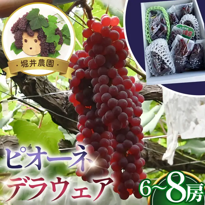 ピオーネ2房とデラウエアの詰め合わせ No.311