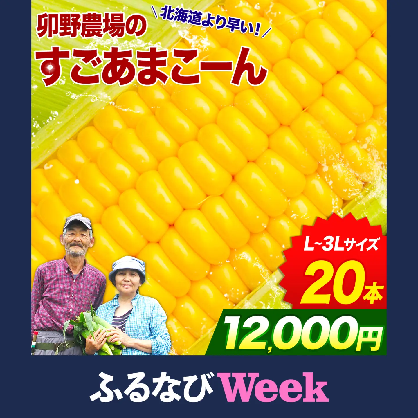 【ふるなびWEEK対象】とうもろこし 20本 とうもろこし【着日指定不可】