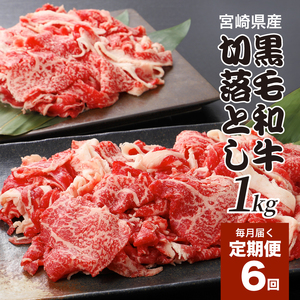 宮崎県産黒毛和牛 贅沢切り落とし1kg(500g×2)×6回定期便 K16_T015