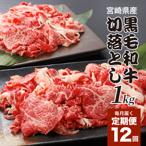 宮崎県産黒毛和牛 贅沢切り落とし1kg(500g×2)×12回定期便 K16_T016