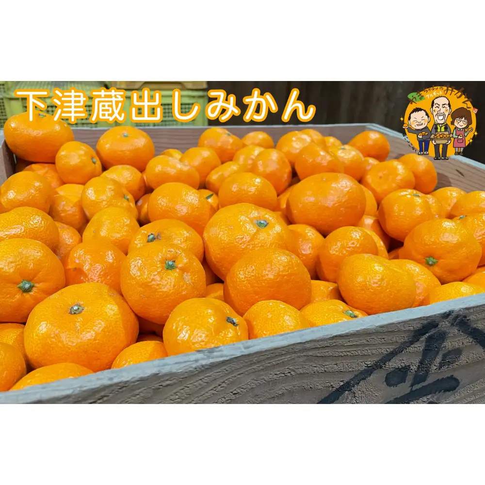 下津蔵出しみかん 約5kg SS～Lサイズいずれか 山下農園