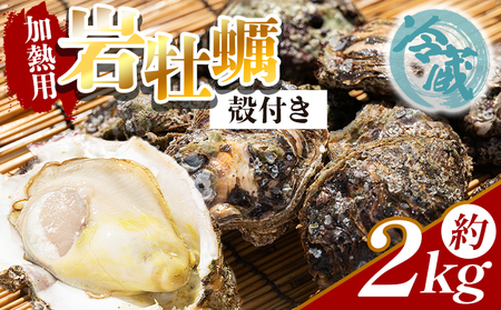 【冷蔵】牡蠣 加熱用 先行予約 岩牡蠣 2kg eb-0034