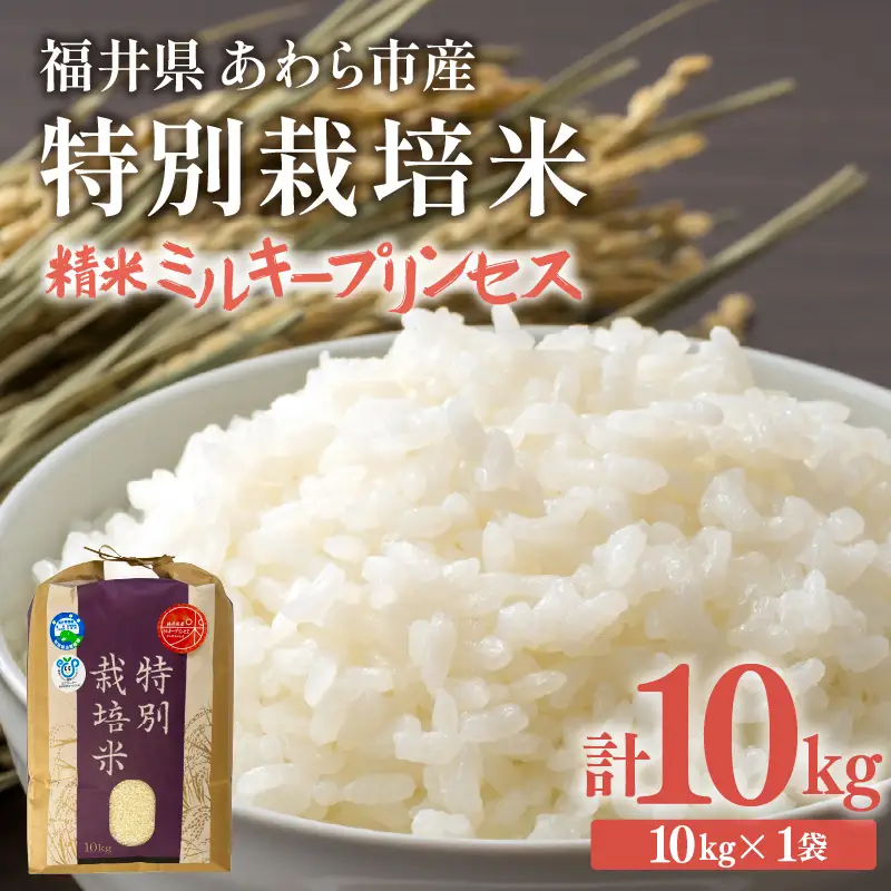 【令和7年産】化学肥料不使用 特別栽培米 ミルキープリンセス 精米 10kg × 1袋 / 白米 米 福井県あわら市産 美味しい 特別栽培米 減農薬 安心な米 旨味 甘み もっちり 冷蔵保管米 [aw010-b019]