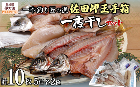 【一本釣り 匠の漁】佐田岬 玉手箱セット 5種×各2枚（計10枚） 【あじ アジ さば サバ いさき ふぐ 太刀魚 たちうお 一夜干し 】 IKTJ006
