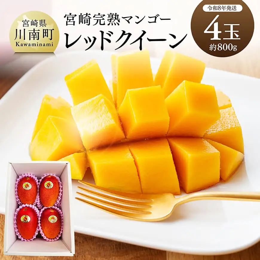 【令和8年発送】宮崎県産完熟マンゴー　「レッドクイーン」4玉(800g) 【 果物 フルーツ マンゴー 宮崎県産 完熟マンゴー みやざきマンゴー 先行予約 数量限定 期間限定 】