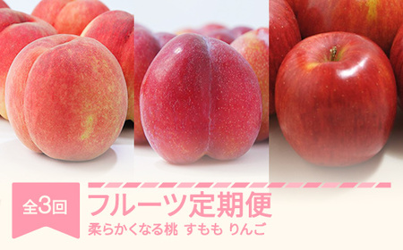 【先行予約】フルーツ定期便 全3回 白桃 すもも りんご 秀品 2026年産 令和8年産 ※沖縄・離島への配送不可 sb-fthpl3