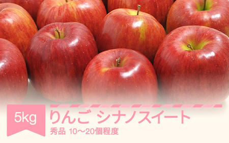 【先行予約】シナノスイート 秀品 約5kg りんご 令和8年産 2026年産 果物 ※沖縄・離島への配送不可 sb-rissx5