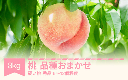 【先行予約】白桃 硬い 品種おまかせ 秀品 3kg 令和8年産 2026年産 山形県産 フルーツ 果物 くだもの ※沖縄・離島への配送不可 sb-mohth3