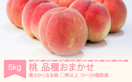 【先行予約】白桃 品種おまかせ ◯秀品以上 5kg 令和8年産 2026年産 山形県産 フルーツ 果物 くだもの ※沖縄・離島への配送不可 sb-mohts5