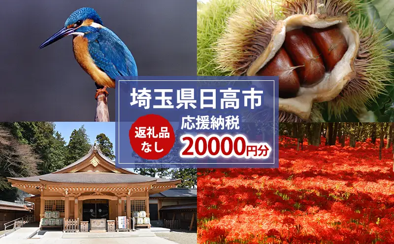 【返礼品無し】日高市応援ふるさと納税　20,000円分