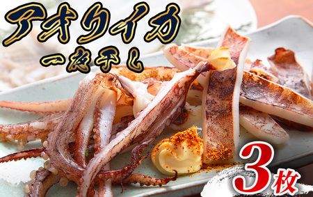 【伊豆漁協加工・直送！】アオリイカ一夜干し 3枚　【 イカ 】