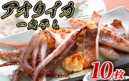【伊豆漁協加工・直送！】アオリイカ 一夜干し 10枚　【 イカ 】