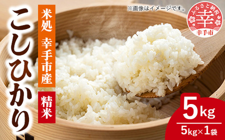 令和7年幸手産 こしひかり【精米】5㎏×1袋 - コシヒカリ 精米 5kg 令和7年産 埼玉県 幸手市 幸手市産