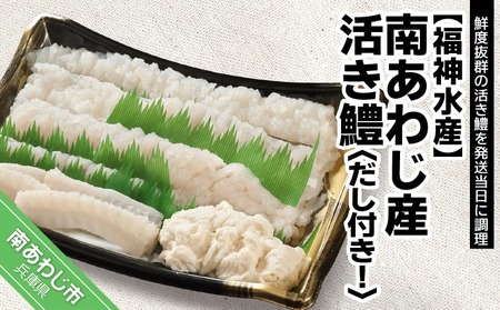 ［南あわじのハモ］南あわじ産 活き鱧　だし付きでお届け！ ★配送7月11日～9月22日