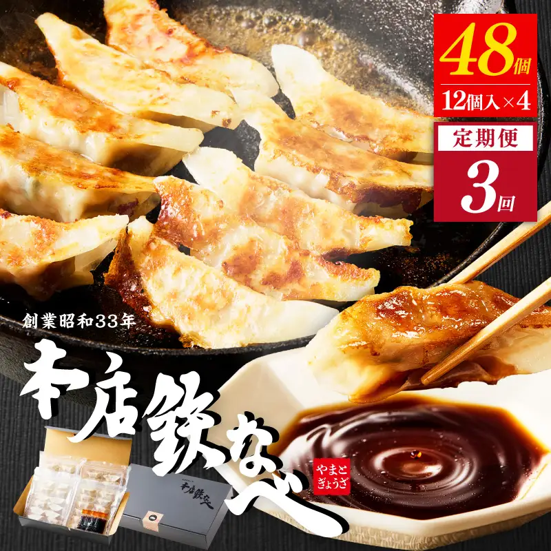 【3回定期便】本店鉄なべ　冷凍ぎょうざ48個入り【040-0006】