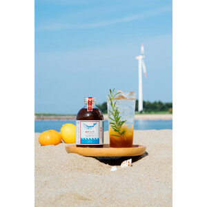 【テレビで紹介】愛知 知多 クラフトコーラ 240ml 1本 コーラ シロップ 飲料 ドリンク 炭酸割り ソーダ割り ミルク割り お酒 アイス アレンジ可能 相性抜群 愛知県産 レモン みかん 人気 おすすめ 大府市