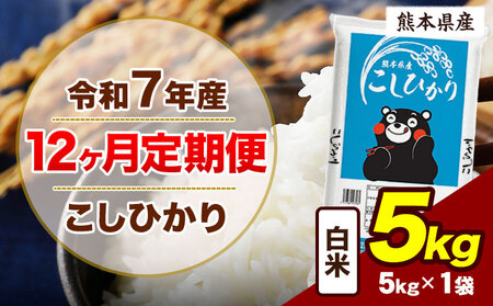 【12ヶ月定期便】令和7年産  こしひかり 5kg 精米 白米 《お申込み翌月から出荷》