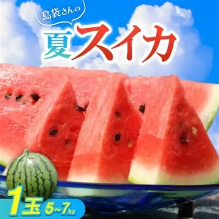 【先行受付・2026年8月中旬から順次発送】島袋さんの夏スイカ大玉 1玉(5.0～7.0kg)【配送不可地域：離島】【1628646】