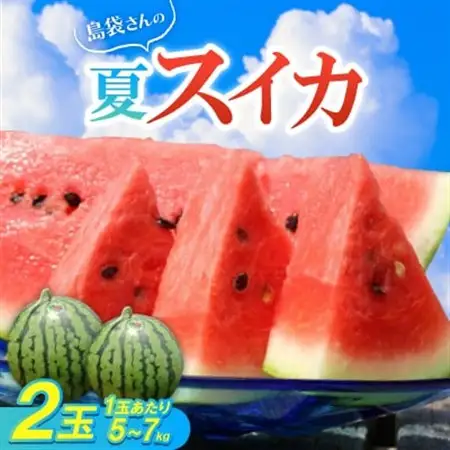 【先行受付・2026年8月中旬から順次発送】島袋さんの夏スイカ大玉 2玉(1玉5.0～7.0kg)【配送不可地域：離島】【1628650】