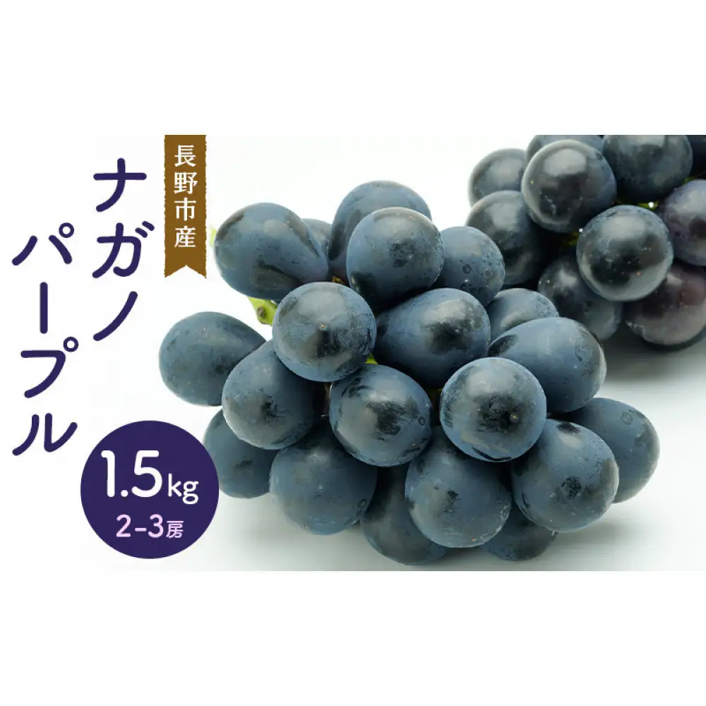 ナガノパープル 1.5kg 2-3房 | ぶどう フルーツ 果物 ぶどう