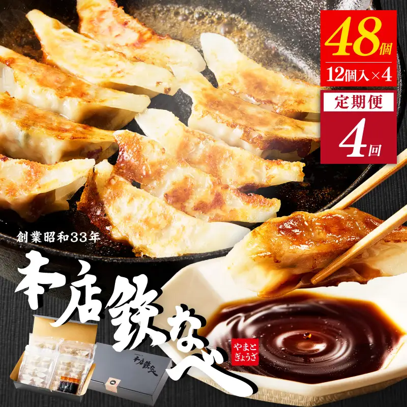 【4回定期便】本店鉄なべ冷凍ぎょうざ48個入り【040-0007】