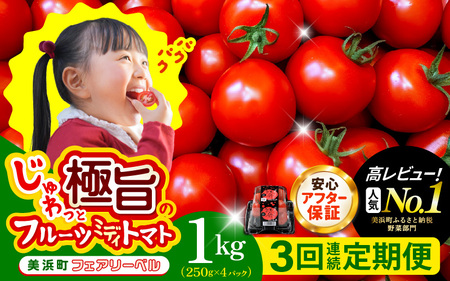 定期便 ≪3ヶ月連続お届け≫ フルーツミディトマト 約1kg × 3回 トマト 野菜 [m37-a027]