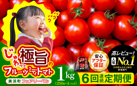 定期便 ≪6ヶ月連続お届け≫ フルーツミディトマト 約1kg × 6回 トマト 野菜  [m37-c005]