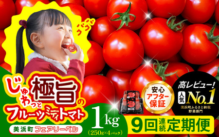 定期便 ≪9ヶ月連続お届け≫ フルーツミディトマト 約1kg × 9回 トマト 野菜  [m37-e003]