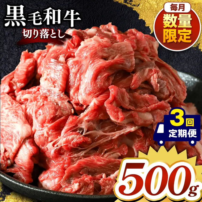 【定期便3回】栃木県産黒毛和牛切り落とし 500g